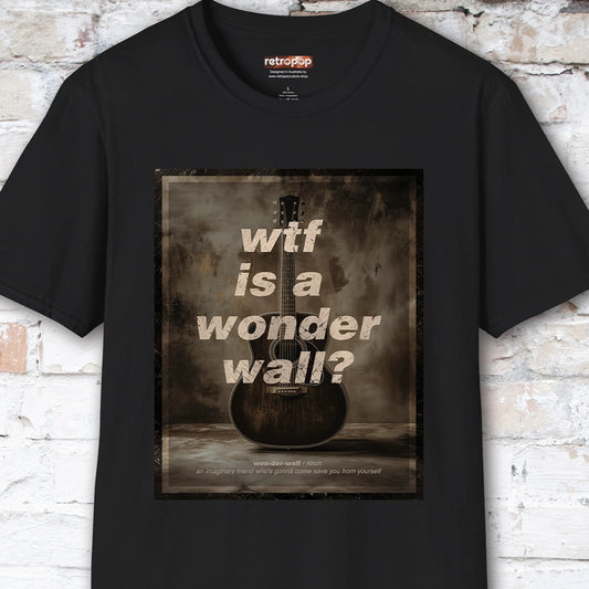 WTF is a Wonder Wall? #1 Unisex T-Shirt