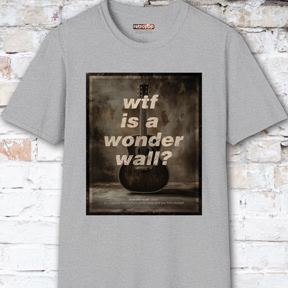 WTF is a Wonder Wall? #1 Unisex T-Shirt