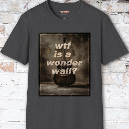 WTF is a Wonder Wall? #1 Unisex T-Shirt