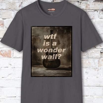 WTF is a Wonder Wall? #1 Unisex T-Shirt