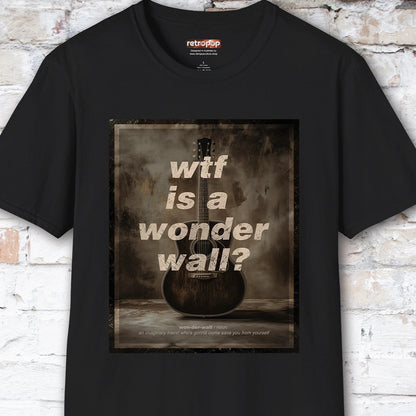 WTF is a Wonder Wall? #1 Unisex T-Shirt