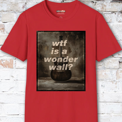 WTF is a Wonder Wall? #1 Unisex T-Shirt