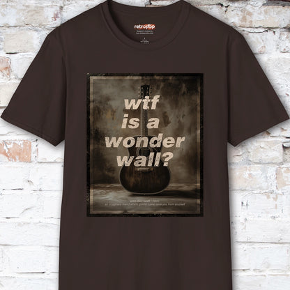 WTF is a Wonder Wall? #1 Unisex T-Shirt