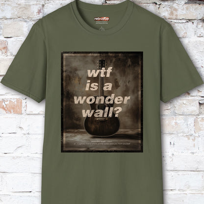 WTF is a Wonder Wall? #1 Unisex T-Shirt