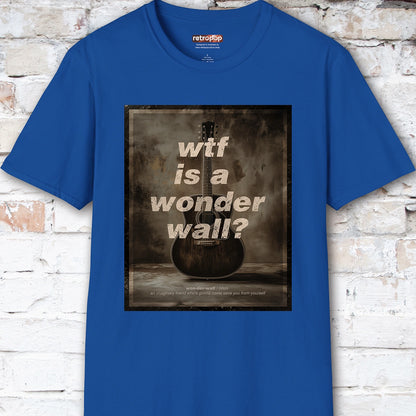 WTF is a Wonder Wall? #1 Unisex T-Shirt