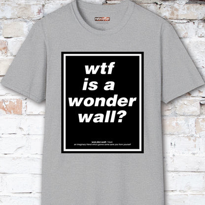 WTF is a Wonder Wall? #2 Unisex T-Shirt