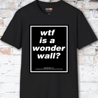 WTF is a Wonder Wall? #2 Unisex T-Shirt