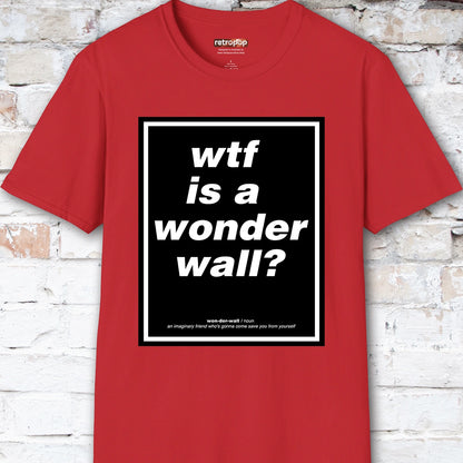 WTF is a Wonder Wall? #2 Unisex T-Shirt