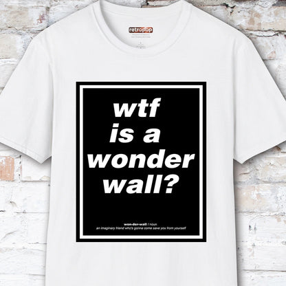 WTF is a Wonder Wall? #2 Unisex T-Shirt