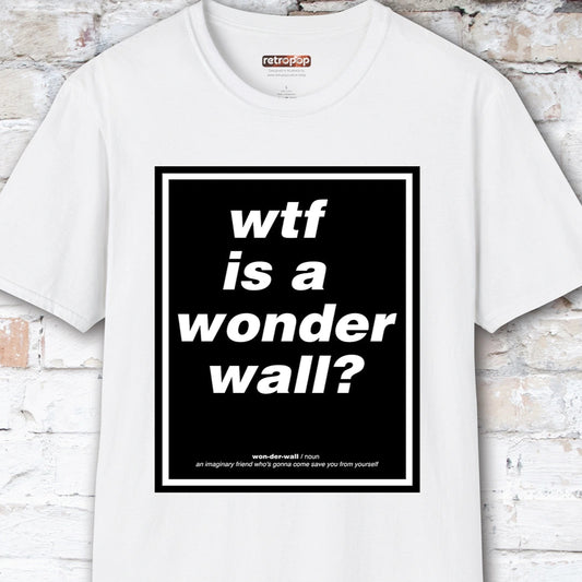 WTF is a Wonder Wall? #2 Unisex T-Shirt