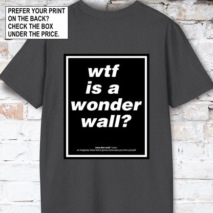 WTF is a Wonder Wall? #2 Unisex T-Shirt